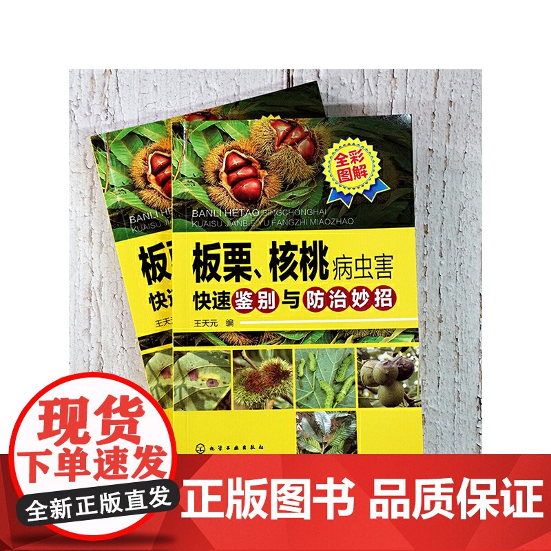 板栗、核桃病虫害快速鉴别与防治妙招 王天元 化学工业出版社 正版书籍高清大图