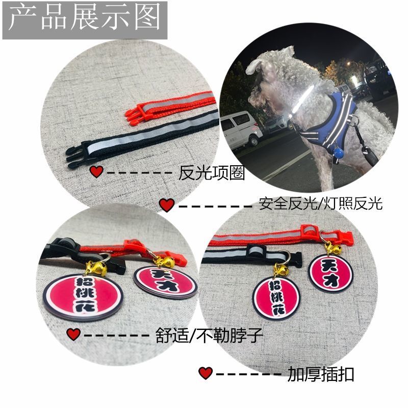 红反光项圈-单身狗 S-(建议7-18斤) 潮狗牌猫咪时尚狗狗项圈招福宠物铃铛猫挂牌中小型犬可爱泰迪招财