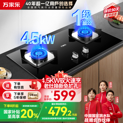 万家乐燃气灶JZY-AY4C液化气