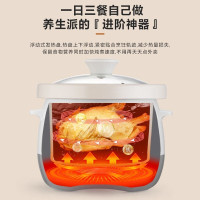 美的(Midea)电炖锅MD-DG30E201电炖盅养生炖盅多功能煮粥煲汤锅智能预约家用3L白瓷内胆智能