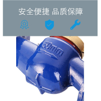 水表DN50/PN1.6/卧式，材质：316L