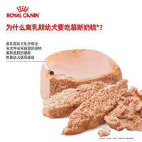 皇家幼年期、妊娠期、哺乳期全价犬粮 奶糕罐头195g×6罐