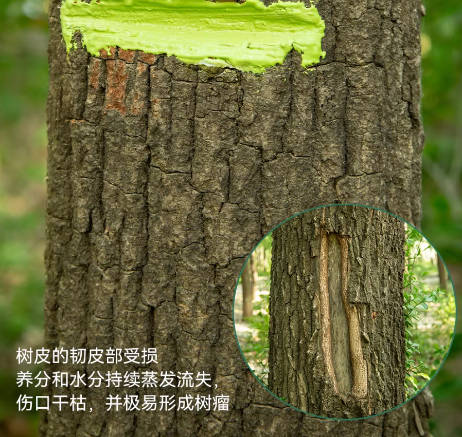 史丹利植物树木果树树木愈合盆景树枝剪枝树桩树皮愈伤膏高清大图