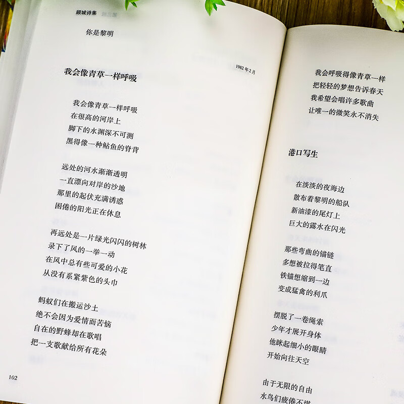 顾城诗集 当代名家顾城的诗中国现代当代诗歌文学作品集诗歌集精选书籍 人民日报 朦胧诗派代表诗人之一青春诗词诗选全集