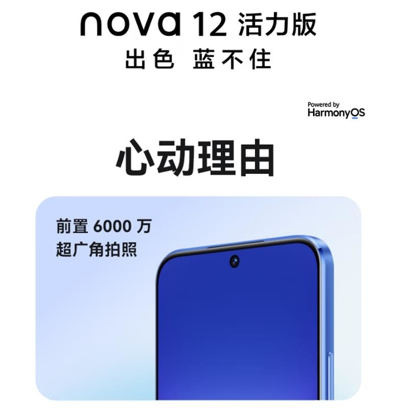 华为nova12 活力版 冰雪蓝 256GB 66W超级 120Hz刷新率 前置6000万超广角拍照 华为手机高清大图