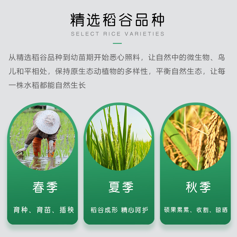 福相迎御贡象牙香米