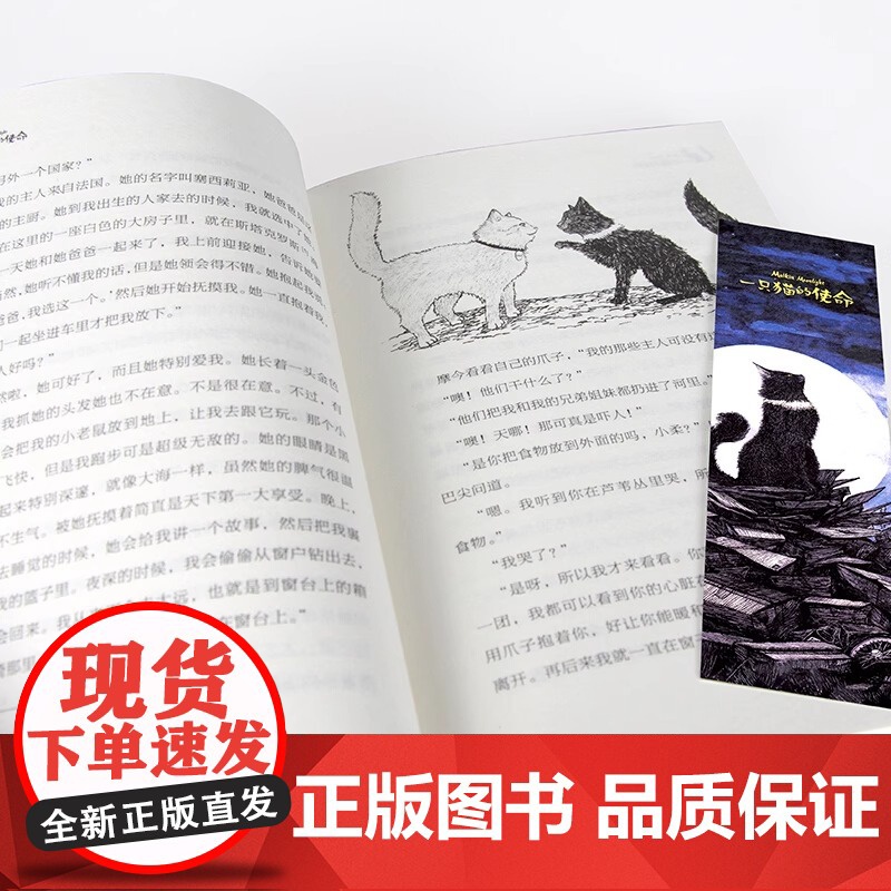 一只猫的使命/长青藤国际大奖小说书系高清大图