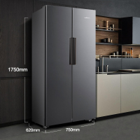 新飞(Frestec)386升对开门纤薄嵌入式家用风冷无霜大容量电冰箱 节能低噪 BCD-386WK9AT