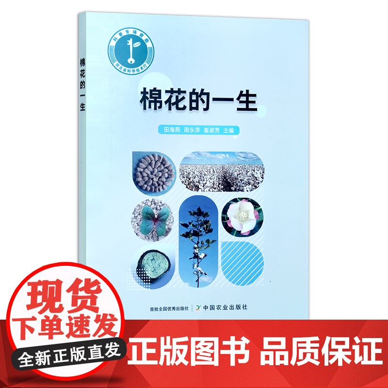 棉花的一生 田海燕 周永萍 崔淑芳 种植 栽培 棉桃 棉絮 长绒棉 29727