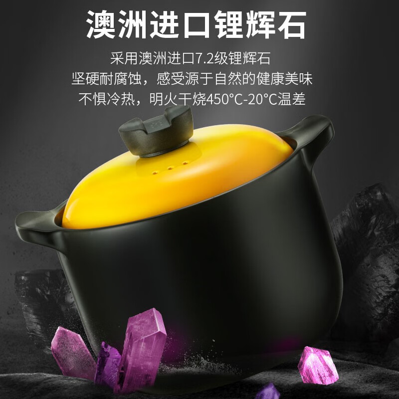 爱仕达03甄陶Ⅲ系列浅汤煲·蜜黄4.5L RXC45B3Q高清大图