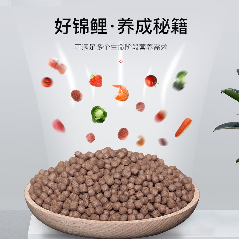 专业锦鲤鱼饲料锦鲤鱼饲料鱼食螺旋藻色扬育成观赏鱼鱼粮主食图片