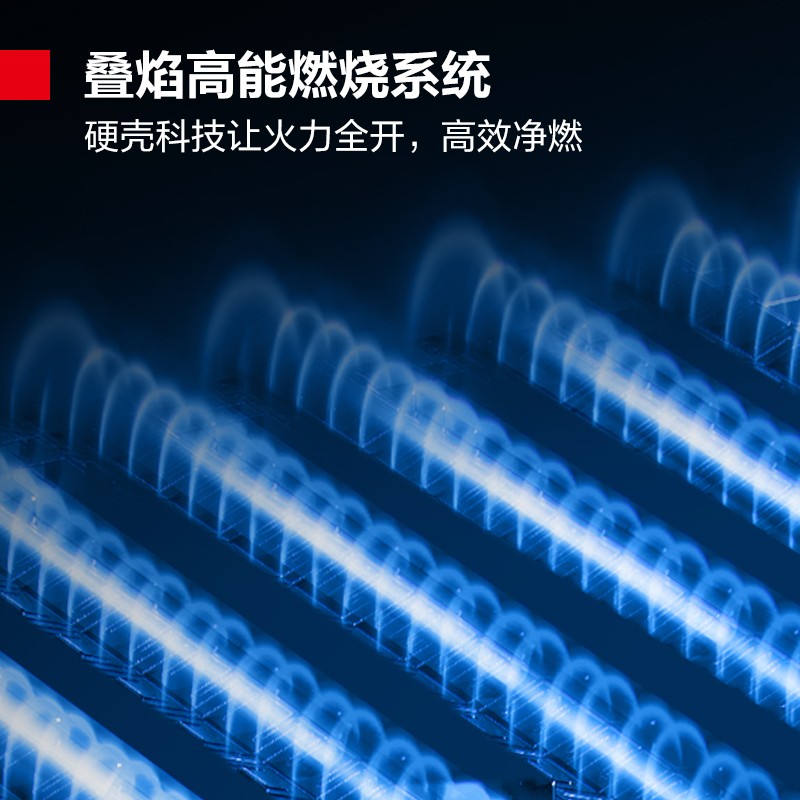 德玛仕(DEMASHI)燃气蒸饭柜商用 食堂蒸柜蒸饭车 工程定制款 10盘SZXT20B-100T [天然气/液化气]高清大图