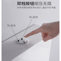 三晓双按节能水箱 SX-0010 个