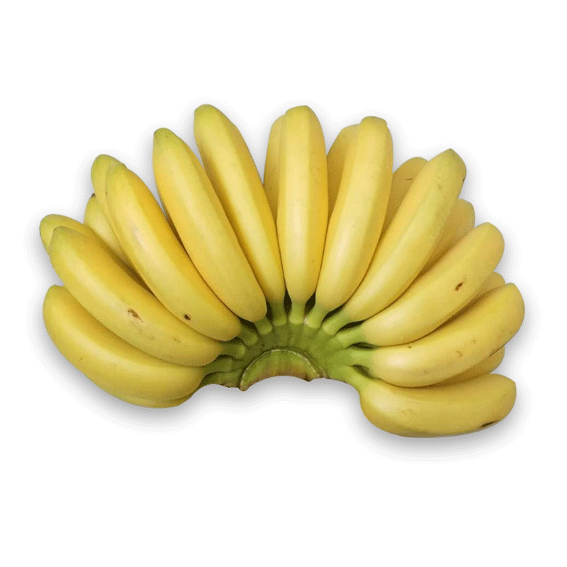 细腻润滑 香甜软糯 口感上佳 来自赤道之国厄瓜多尔 香蕉中的上品