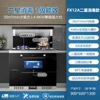老板名气(MQ) 集成灶一体灶二星级消毒柜大吸力抽油烟机燃气灶灶具套餐大容量二星级消毒 一级能效 FX12X 液化气