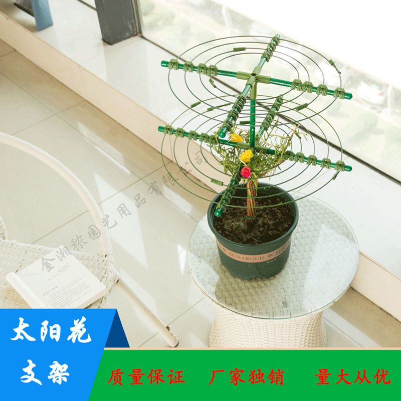 金湘秾太阳花棒棒糖花支架蟹爪兰单多层支撑铁线莲牵牛花爬藤造型 单层--28CM 太阳花棒棒糖支架买3发4买7发10