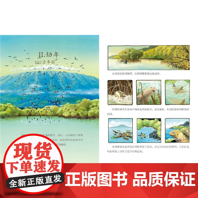一座岛的600万年:加拉帕戈斯群岛的前世今生(点读版)高清大图