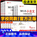 知行合小古文 主题拓展训练 六年级上 【正版】2024秋 知行合小古文主题拓展训练一二三四五六年级上册下册人教版小题知合