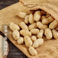 [中华特色]龙岩馆 远山农业 蒜香花生500g*1包[首件7折] 闽西龙岩特产零食 蒜香浓郁 休闲办公零食 华东