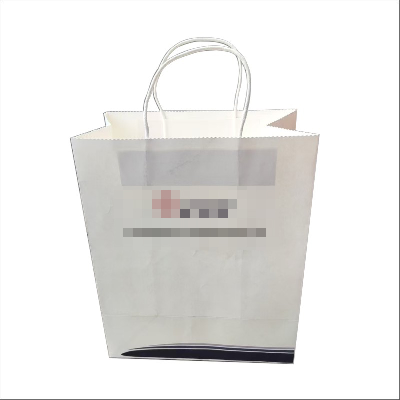 宣传定制手提袋高清大图