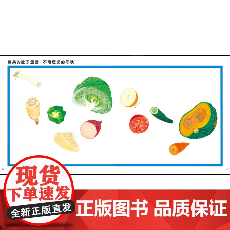 我是水果/蔬菜的肚子 蔬菜水果猜猜看幼幼成长图画书少年儿童出版社绘本图画书故事画册高清大图
