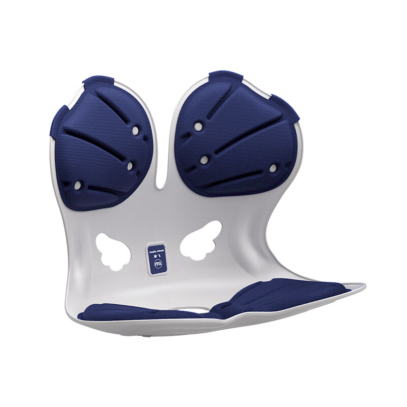 摩飞(MORPHYRICHARDS)矫正护腰坐垫 人体工学坐姿椅久坐神器靠垫一体MR3160