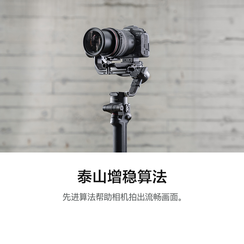 DJI 大疆 DJI RSC 2 如影 单手持微单稳定器 (单机版)稳定器