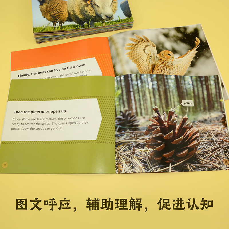 醉染图书万物由来双语百科 第二级(全12册)9787521325713高清大图