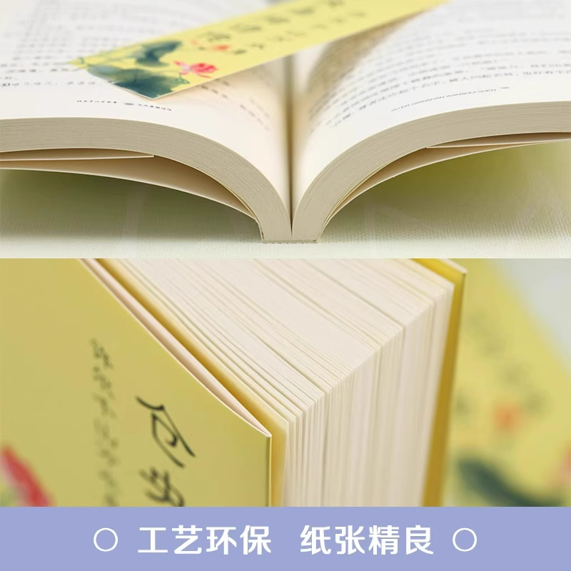 仓央嘉措诗传 [正版]仓央嘉措诗传 许尔千山万水身文学诗词书籍仓央嘉措诗集全集闫晗中国名人传记自传名人名言人物密传书籍古高清大图