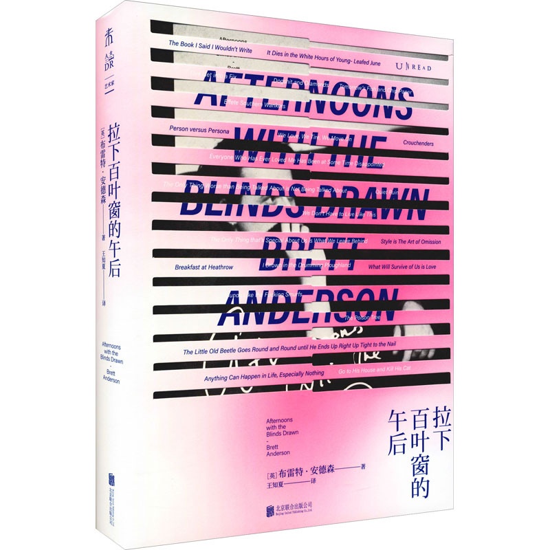 [醉染正版]拉下百叶窗的午后 (英)布雷特·安德森 著 王知夏 译 散文 文学 北京联合出版社 正版图书高清大图