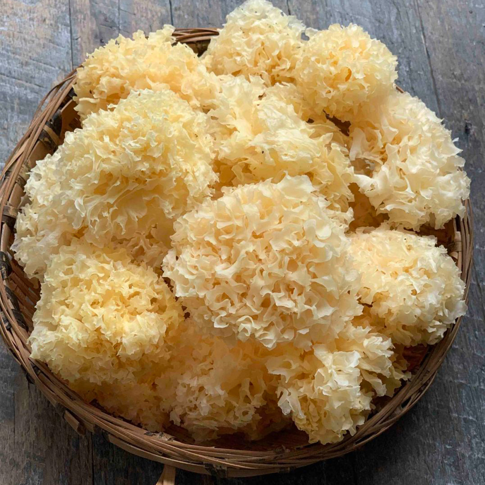 蕴康祥缘小银耳60g/袋 干货特产银耳无硫好出胶凉拌银耳莲子羹煲汤雪耳银耳高清大图