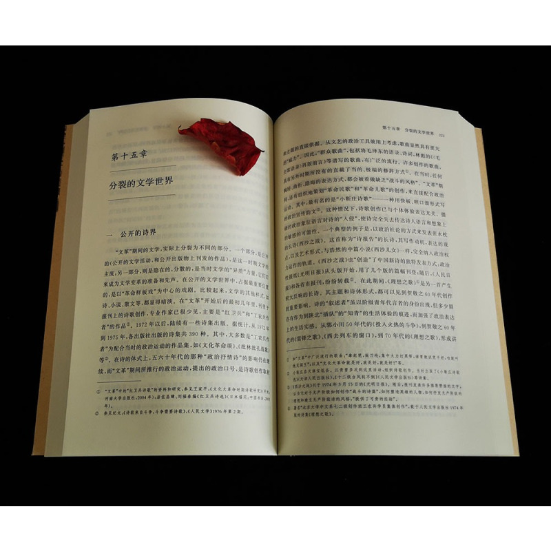 [正版]直营中国当代文学史 洪子诚学术作品集 在史观和研究方法上具有开创性价值的文学史著作 北京大学出版社 书籍
