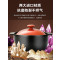 苏泊尔(SUPOR)砂锅6L加厚煲汤锅陶瓷炖锅燃气灶沙锅炖汤瓦罐TB60Q1