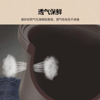 天际电炖锅电炖盅电砂锅紫砂炖锅煲汤锅炖汤锅煮粥锅炖煮锅养生锅智能炖煮 4L大容量多功能家用可预约定时3-5人电用