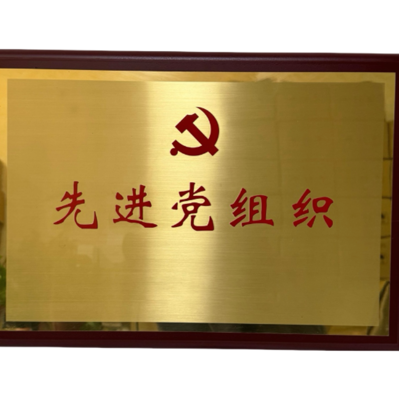 晨洋(CYSM)可定制奖牌 CYBG013 块高清大图