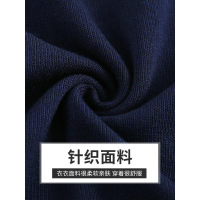 迪鲁奥(DILUAO)2019年秋季装新款v领毛衣女长袖打底衫韩版宽松大码薄款针织衫上衣 宝蓝色