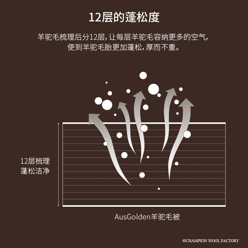AusGoldEN澳洲制造伯爵系列羊毛四季被加厚保暖双人透气恒温被芯