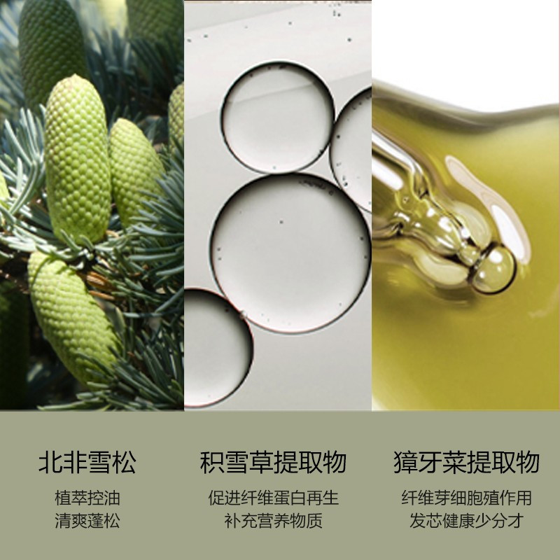 柏缇控油洗沐套装(海盐沐浴露北非洗发水) 除螨控油蓬松留香 475ml*2高清大图