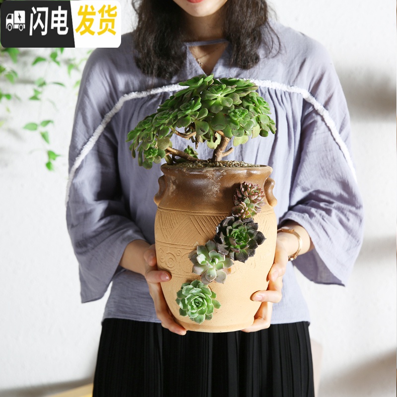 三维工匠创意个性多肉陶瓷花盆多肉拼盘多孔多洞高款老桩法师陶瓷花器绿植 洞洞盆HZ29 大花盆容器高清大图