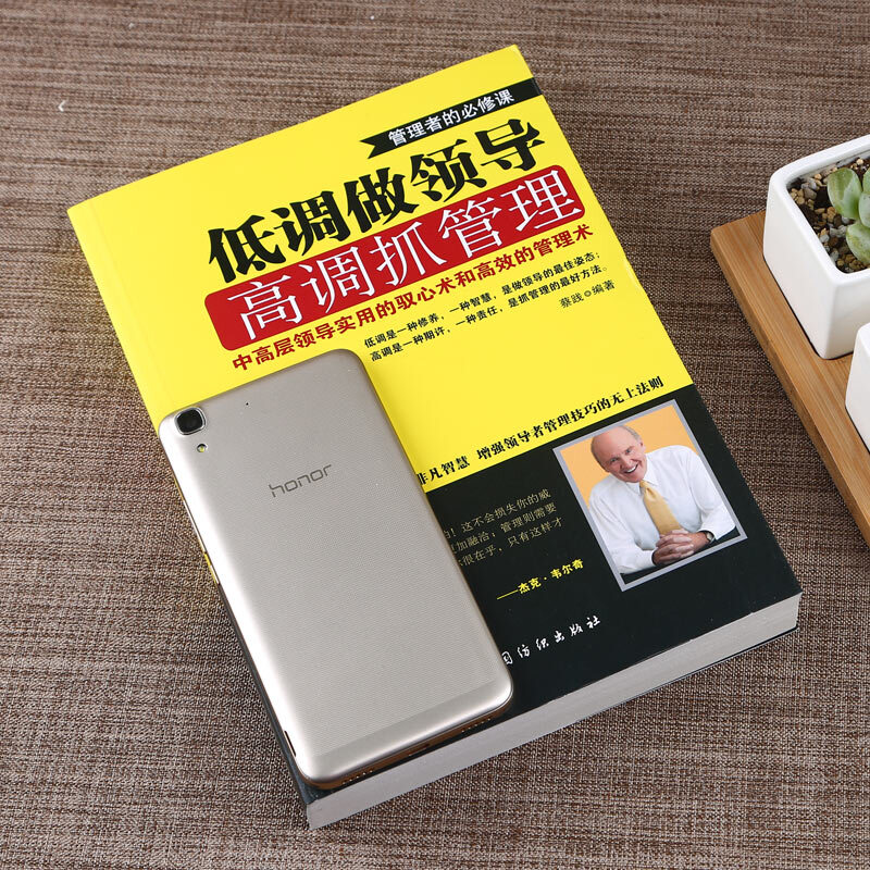[正版]低调做领导:高调抓管理企业经营管理中层领导管理方式方法员工管理带团队带队伍管理方面的书籍执行力领导力管理人力资高清大图