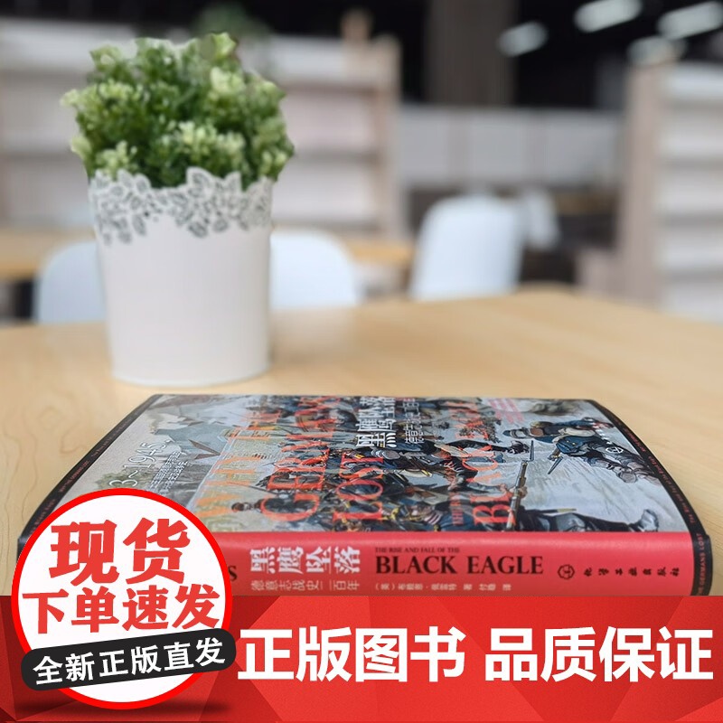 黑鹰坠落 德意志战史二百年 布赖恩·佩雷特 著 军事高清大图