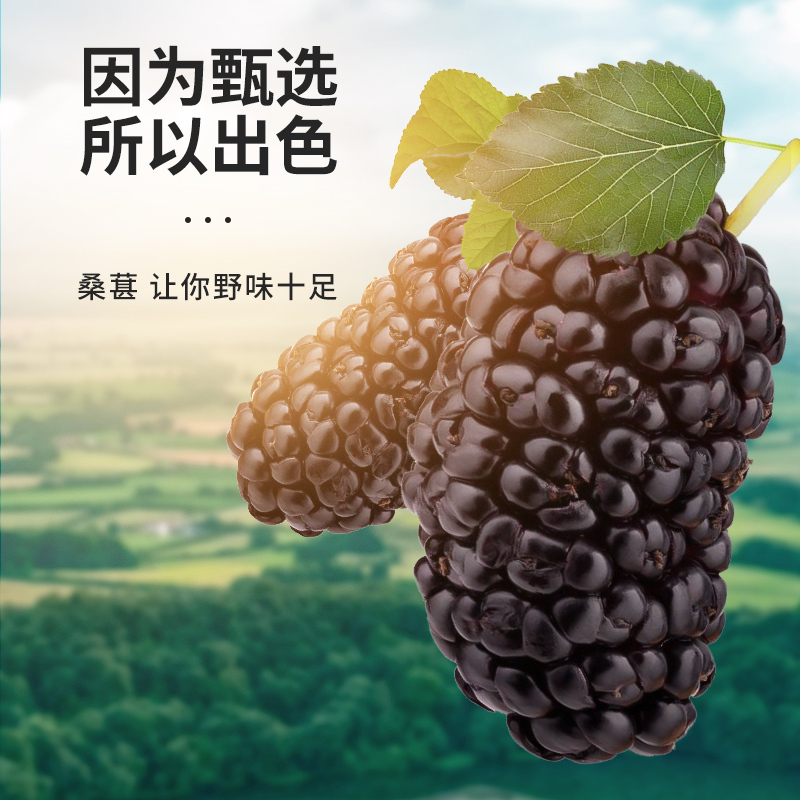 裕百年五宝茶500g保健肾茶男人茶老公茶男性肾补品养生补气养血枸杞桑葚黄精熬夜