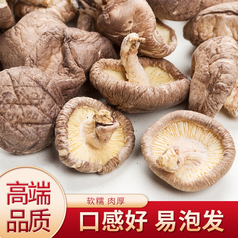 谷本粮农干货小香菇500g 新鲜椴木小香菇东北特产长白山花菇木耳蘑菇类