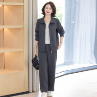 时尚秋季妈妈装套装运动休闲两件套中老年女衣服中年装运动服秋装 XL(建议95-110斤） 灰色套装