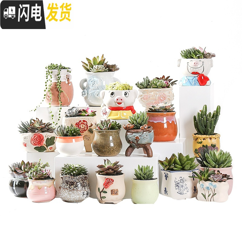 三维工匠多肉花盆陶瓷家用粗陶创意个性肉肉植物盆器大号口径 韩式浮雕老桩(4个) 小花盆容器