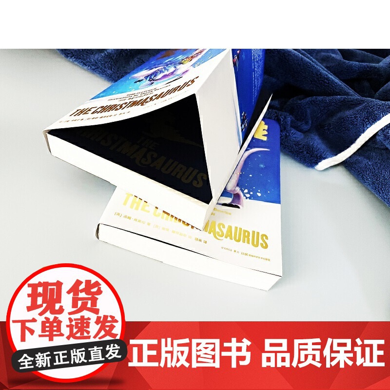 圣诞龙 汤姆·弗莱彻奇遇系列高清大图