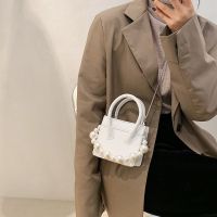 ins超火迷你包包女2021新款潮时尚珍珠链条手提包洋气百搭斜挎包 气质白[原版链条] 没有珍珠