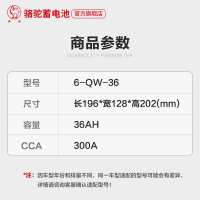 骆驼6-QW-36 蓄电池 汽车电瓶 12V/36AH本田飞度、哥瑞、理念S1、锋范、思迪