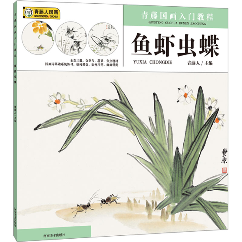 [M]青藤国画入门教程 鱼虾虫蝶-9787540161637高清大图