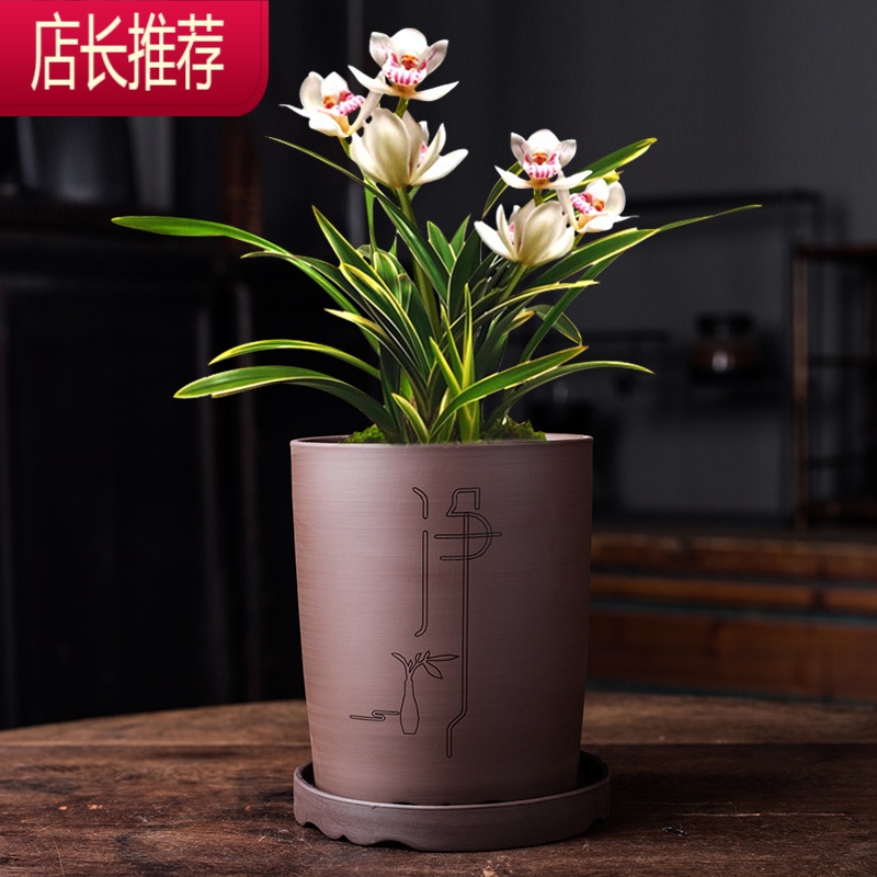 精品紫砂花盆透气小叶紫檀文竹兰花君子兰专用盆景盆家用陶瓷带拖jing Ping花盆容器图片 高清实拍大图 苏宁易购